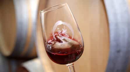 2021 difícil para la DO de vinos La Mancha, pero esperan recuperarse