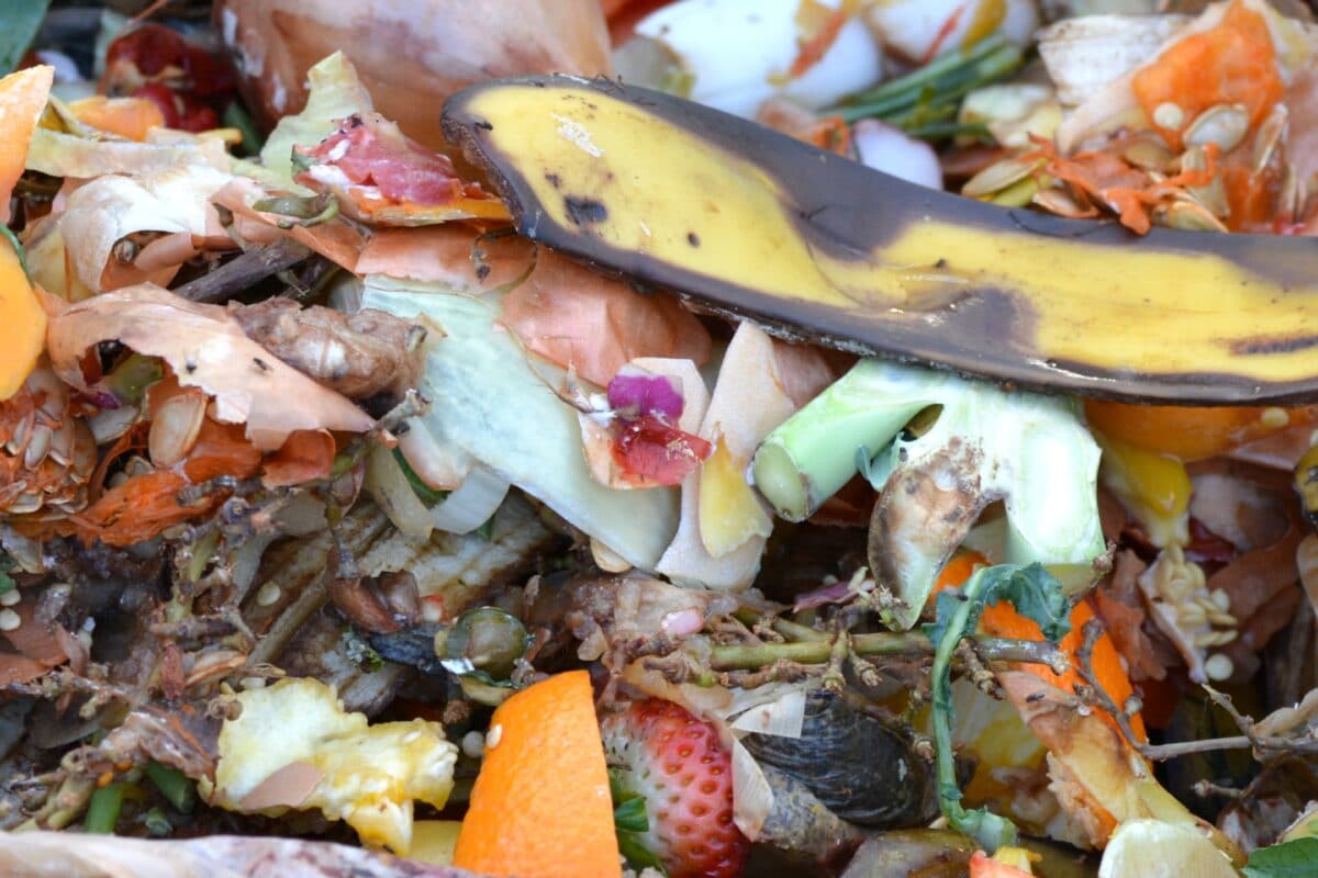 Desperdicio de frutas y verduras: el 70% de los consumidores tira un tercio o más de la compra