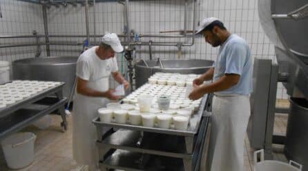 Industria de alimentos: creció en 2021, pero menos que la tasa anual