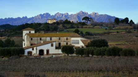 Ametller Origen mejora las ventas y presentará su Agroparc en Madrid