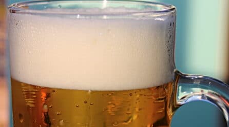 «Vamos 2030», la hoja de ruta de Mahou San Miguel para la sostenibilidad