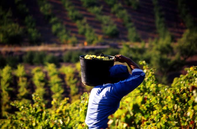 Acuerdo UE-Japón incorpora nuevos agroalimentos y vinos españoles