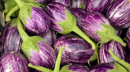 Los alimentos bío vuelven a ganar: 8,8 % más en la cesta 2021