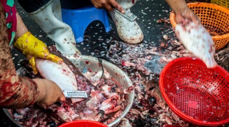 En este 8M las mujeres del sector pesquero reclaman mayor igualdad