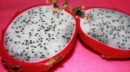 Papayas y pitayas canarias viajarán a Reino Unido