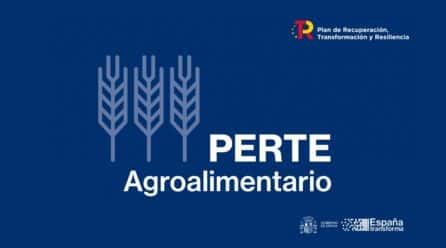 El Perte Agroalimentario necesita la activación de las PYMES del sector