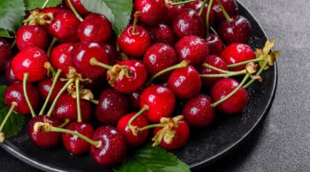 Un estudio del CIAGRO alarga la vida útil de las cerezas e incrementa su tamaño