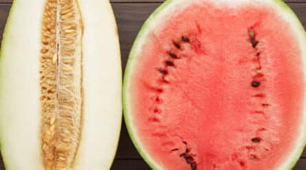La campaña de sandía y melón se estima inferior en volumen pero mayor calidad