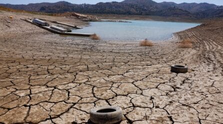 La peor sequía desde hace 500 años afecta al 64% de la UE