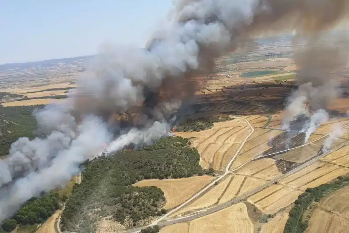 Según Agroseguro los incendios han arrasado 14.700 hectáreas aseguradas