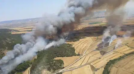 Según Agroseguro los incendios han arrasado 14.700 hectáreas aseguradas