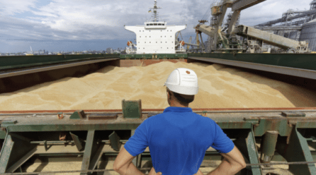 Baja el precio de los cereales tras la salida del barco de Ucrania
