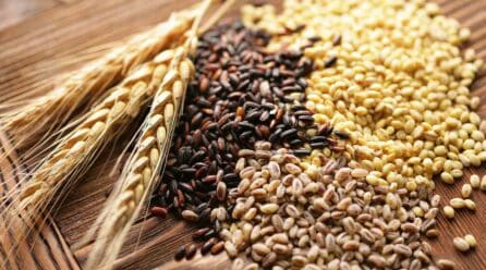Los precios de cereales siguen al alza