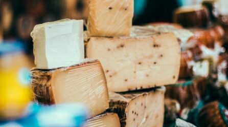 La feria internacional del queso de Pesquera reúne este agosto a 25 queserías