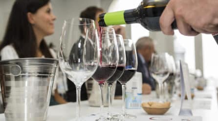 ASharedPassion, España y Portugal se unen para exportar la calidad de sus vinos a toda Europa