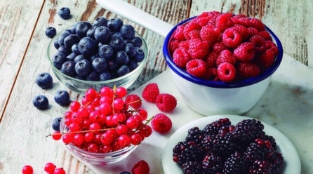 La campaña de frutos rojos en Huelva arranca con preocupación