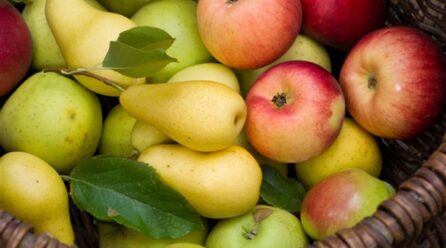 Los calibres de manzana y pera afectados por el efecto del calor