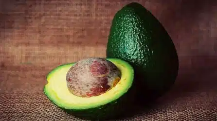 Un aguacate al día mejora la calidad de la dieta y reduce el colesterol