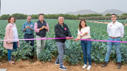 Roberto Brasero inaugura la campaña de brócoli de invierno