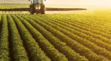 Las indemnizaciones del seguro agrario se elevan hasta los 695 millones