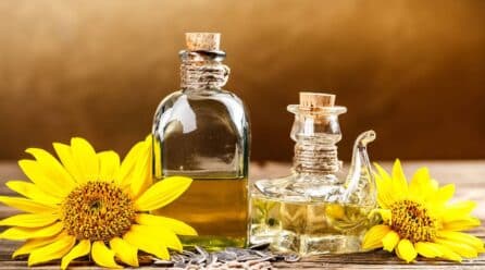 Investigadores ven beneficios en el girasol y un alza de precios del 40 %