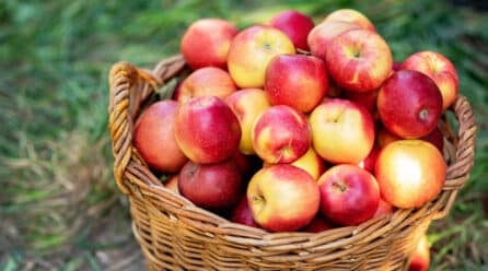 Celebremos el Apple Day con el #LongLifeChallenge