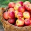 Apple Day - Día de la Manzana - #LongLifeChallenge - FruitVegetablesEUROPE