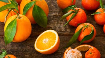 Mercadona comprará más de 200.000 tm de naranja y mandarina de origen España
