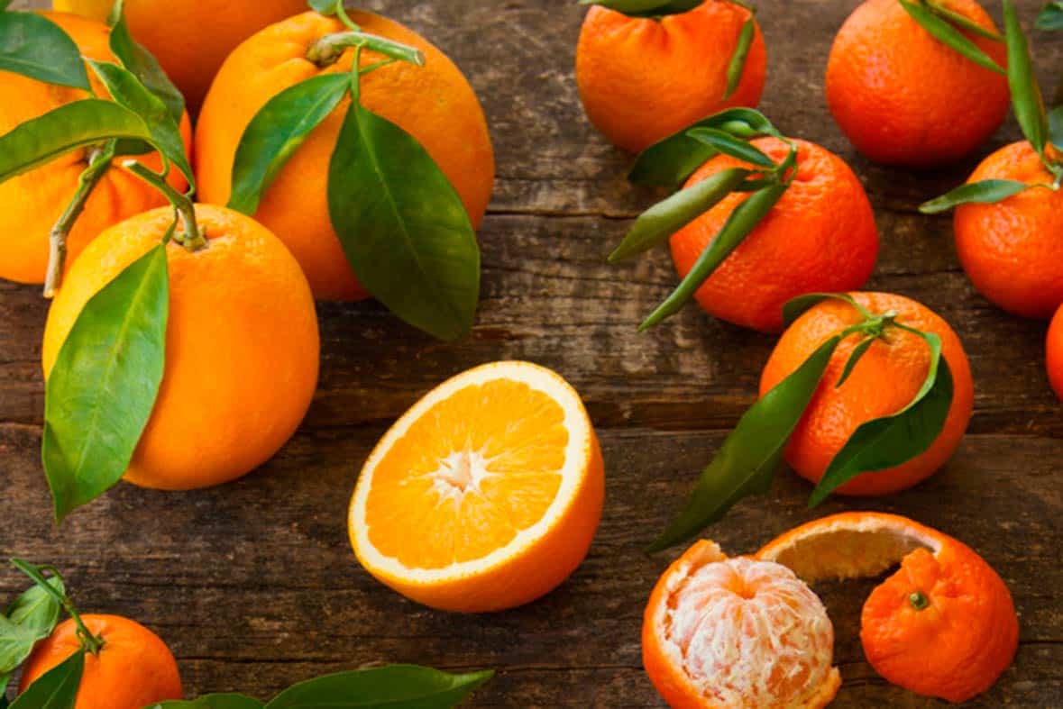 Mercadona comprará más de 200.000 tm de naranja y mandarina de origen España