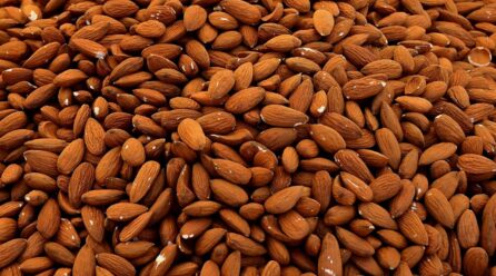 UdU prevé un 40 % menos de almendra y reclama que se valorice y pague cáscara