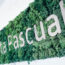 Pascual - Emisiones CO2 - Calculo y Reduzco