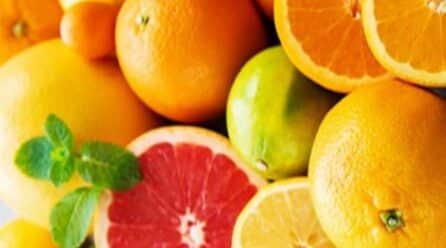 Murcia pide al Gobierno español protocolos para exportación de cítricos a nivel mundial