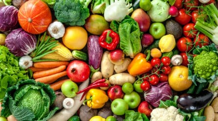 Fepex augura un buen noviembre para la exportación de frutas y hortalizas