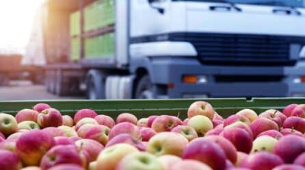 Cambio de paradigma: cuando el campo piensa en la logística posterior, antes que en la cosecha