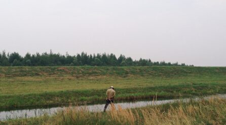 Claves del caudal ecológico del Tajo, la importancia del agua para España
