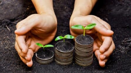 El apoyo público al plan de seguros agrarios subirá a 317,7 millones en 2023