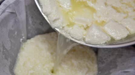 Biosuero busca convertir el suero del queso en abono para agricultura