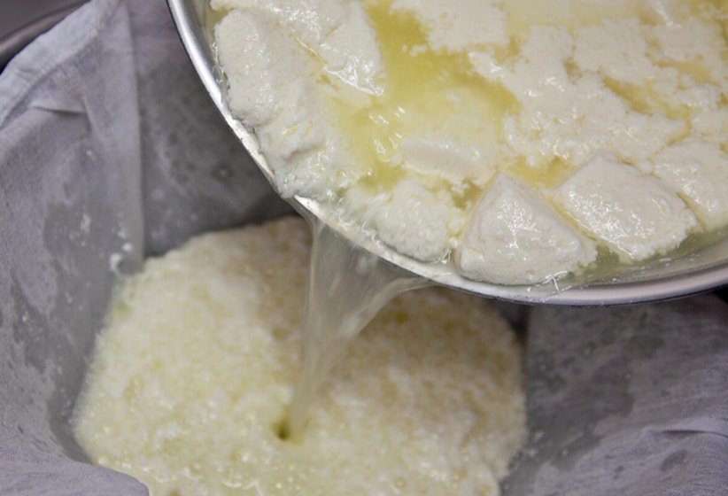 Biosuero busca convertir el suero del queso en abono para agricultura
