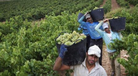 La UE impone nuevos aranceles a productos agrícolas y fertilizantes de Rusia y Bielorrusia para reducir su dependencia y frenar el esfuerzo bélico ruso