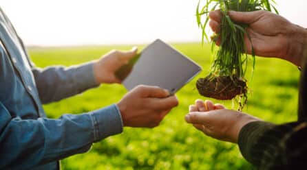 El Cuaderno Digital de Campo impulsa la digitalización en el sector agrario español