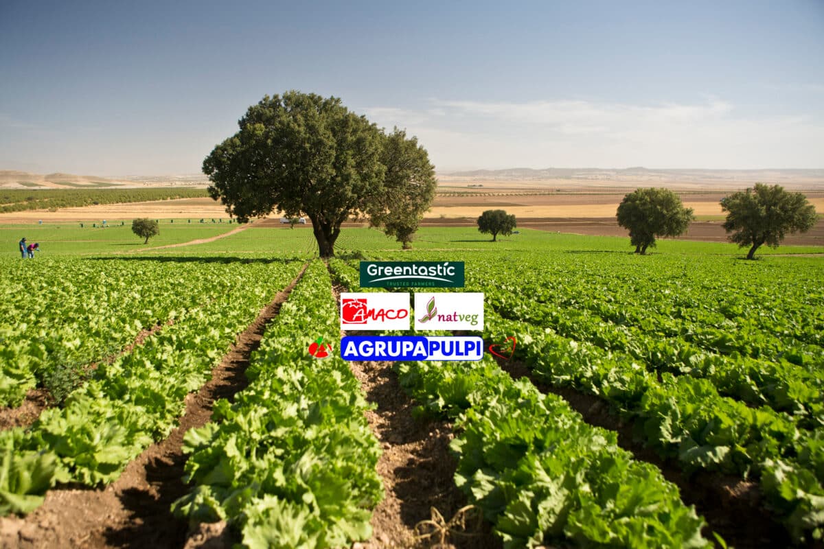 Agrupapulpí, Amaco y NatVeg se unen formando Greentastic, el nuevo macrogrupo agrícola murciano de Magnum Capital