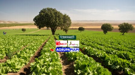 Agrupapulpí, Amaco y NatVeg se unen formando Greentastic, el nuevo macrogrupo agrícola murciano de Magnum Capital