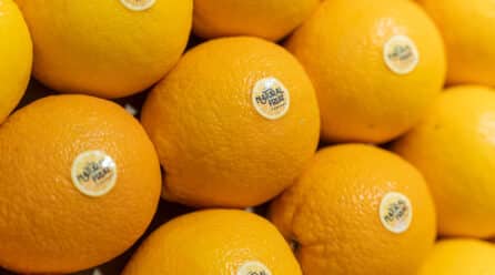 Bollo International Fruits y The Natural Fruit Company caminarán juntas