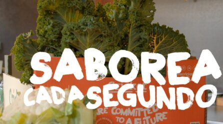 La empresa de brasicas Cricket nos recuerda esta Navidad la importancia de saborear cada segundo