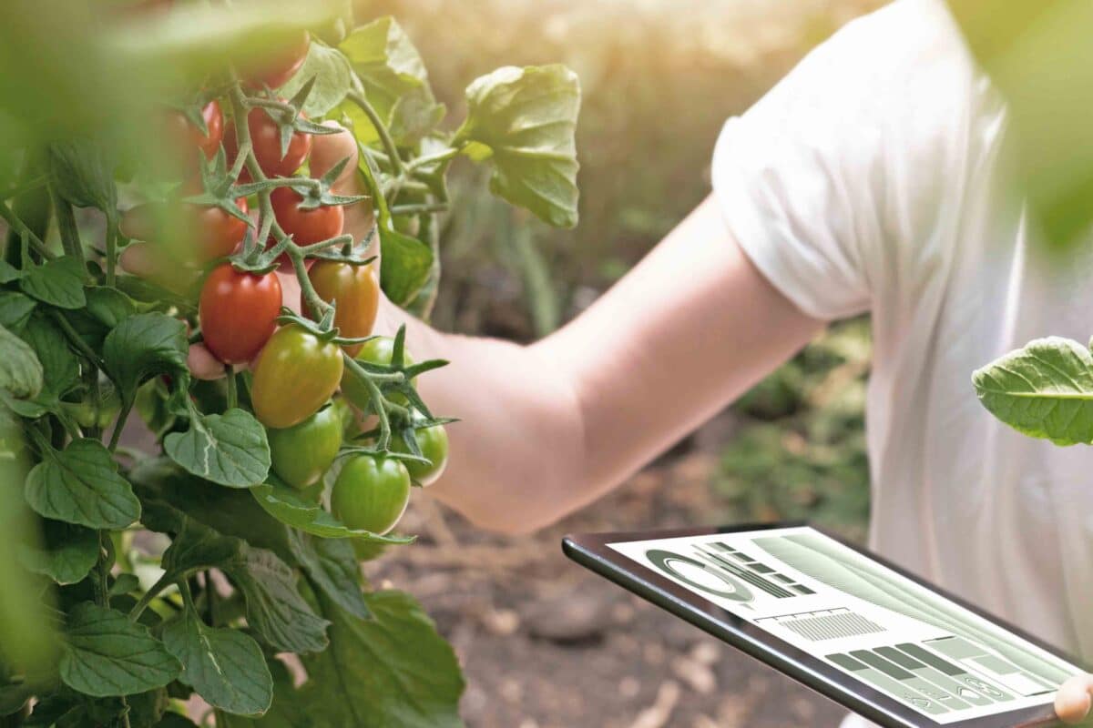 La inteligencia artificial en agricultura abre un mundo de posibilidades