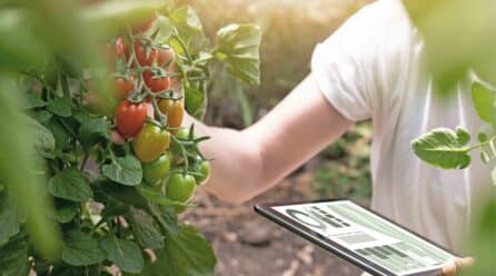 La inteligencia artificial en agricultura abre un mundo de posibilidades