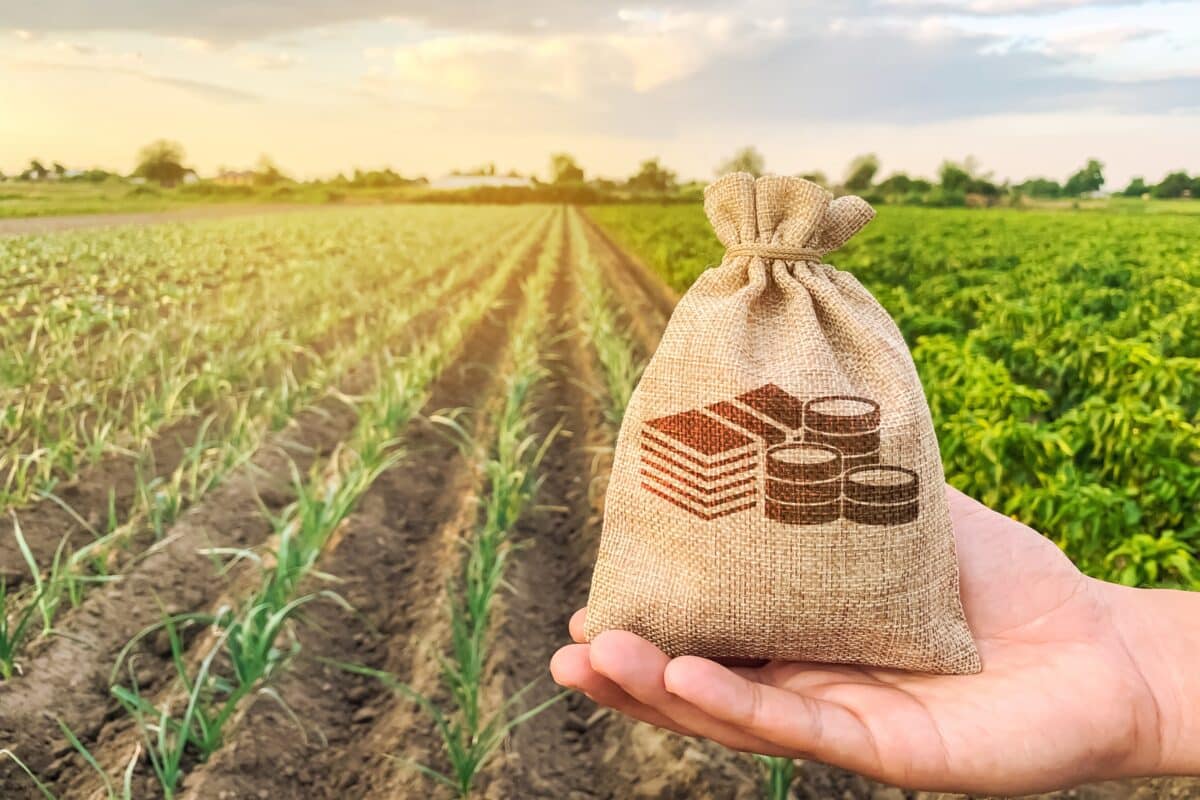 El PIB agrícola, el que más crece del tercer trimestre en el sector primario