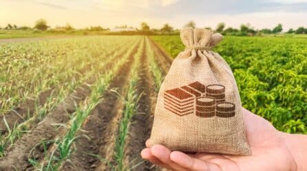 El PIB agrícola, el que más crece del tercer trimestre en el sector primario