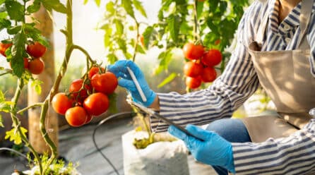 Basque Food Cluster crea iTalent Food para impulsar el empleo y el talento joven