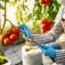BASQUE FOOD CLUSTER empleo sostenibilidad ITALENT FOOD